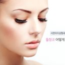 들창코 네이버블로그