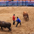 기권농장 이미지