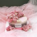 롤리앤폴리 이미지