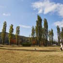 여주-1094 이미지