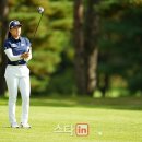 지노골프
