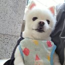 모닝마트세경점 | 흔들리는 꽃들 속 4월 일상
