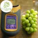 유창농장 이미지