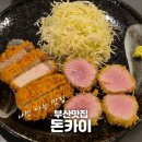 [부산 서면 신상 돈가스 맛집] 혼밥하기 좋은 서면 돈가스/돈카츠 맛집 돈카이 250131