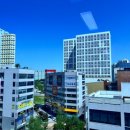 서화 행정사사무소 네이버블로그
