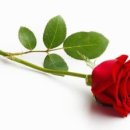 미스터아구 의정부점 이미지