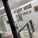 선샤인퍼피 이미지