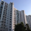 강남-153 이미지