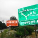 유천리 삼거리 이미지