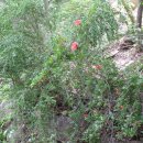 서당공원 화장실 이미지