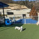 멍스빌리지풀빌라1 이미지