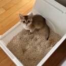 24시 모란동물 메디컬센터 이미지