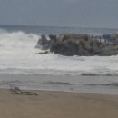 솔향민박 이미지