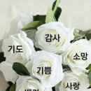 쉽게 쏙쏙 스마트폰 활용법 네이버블로그