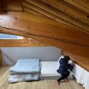 웅지와 나옹이 이미지