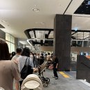 2023-03-0389 | [2023.07.31] 동탄롯데백화점 올드페리도넛 + 수원시 여권민원실 +영화 '밀수' +광교 '오늘중식GO'