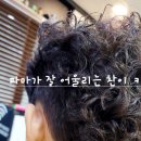 헤어뷰티 - 중구 | 헤어뷰티