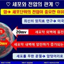 미아미세 이미지