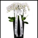 강동-길동-4108 이미지