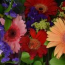 공동당구구역 이미지