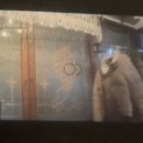 평대 모살코지 이미지