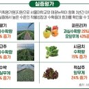 뉴텍 이미지