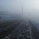 동탄한증막