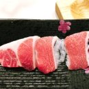 바디신스튜디오 이미지