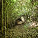 (여행.트레킹) 서해 신비의 섬 외연도 둘레길 이미지