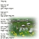 소월 이미지