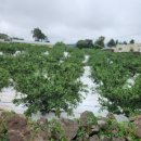 상예동-13 이미지