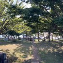 염포야영장 이미지