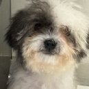 두루몽실 이미지