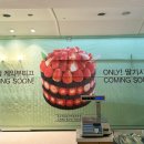시루향 네이버블로그