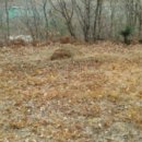 2022-주185 이미지