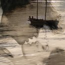 사랑이 머무는 둥지 이미지