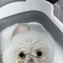 올치유치원 이미지