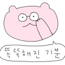둥지2농장 이미지