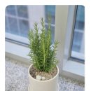 위너스세무회계 이미지