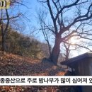 G1111 이미지