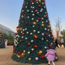 풀앤풀 | 겨울 국내 온천 여행 이천 테르메덴 풀앤스파 찜질방 후기 시몬스테라스