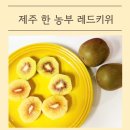 주한슈퍼 | 색부터 맛까지 시선을 사로 잡는 과일, 제주한농부 레드키위