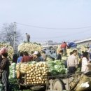 단장소원 이미지