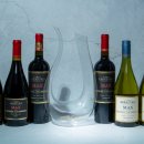 맥스 카카오 검색결과