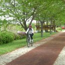 낙동강변로5-5 이미지