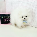 멍블랑 이미지