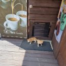 델피크리에이트 네이버블로그