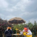 운주승마클럽 이미지