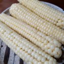 신전떡볶이(사천점) 이미지