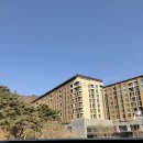 소나무숲 방주산장 | [제천 숙소] 제천 포레스트리솜 리조트 이용 후기 l 숲 속 휴양지에서 별 구경하기 좋은 강원도 숙소